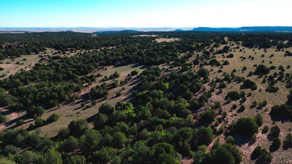 Tbd Bear Creek Road Walsenburg, CO 81089 - Photo 23 of 37