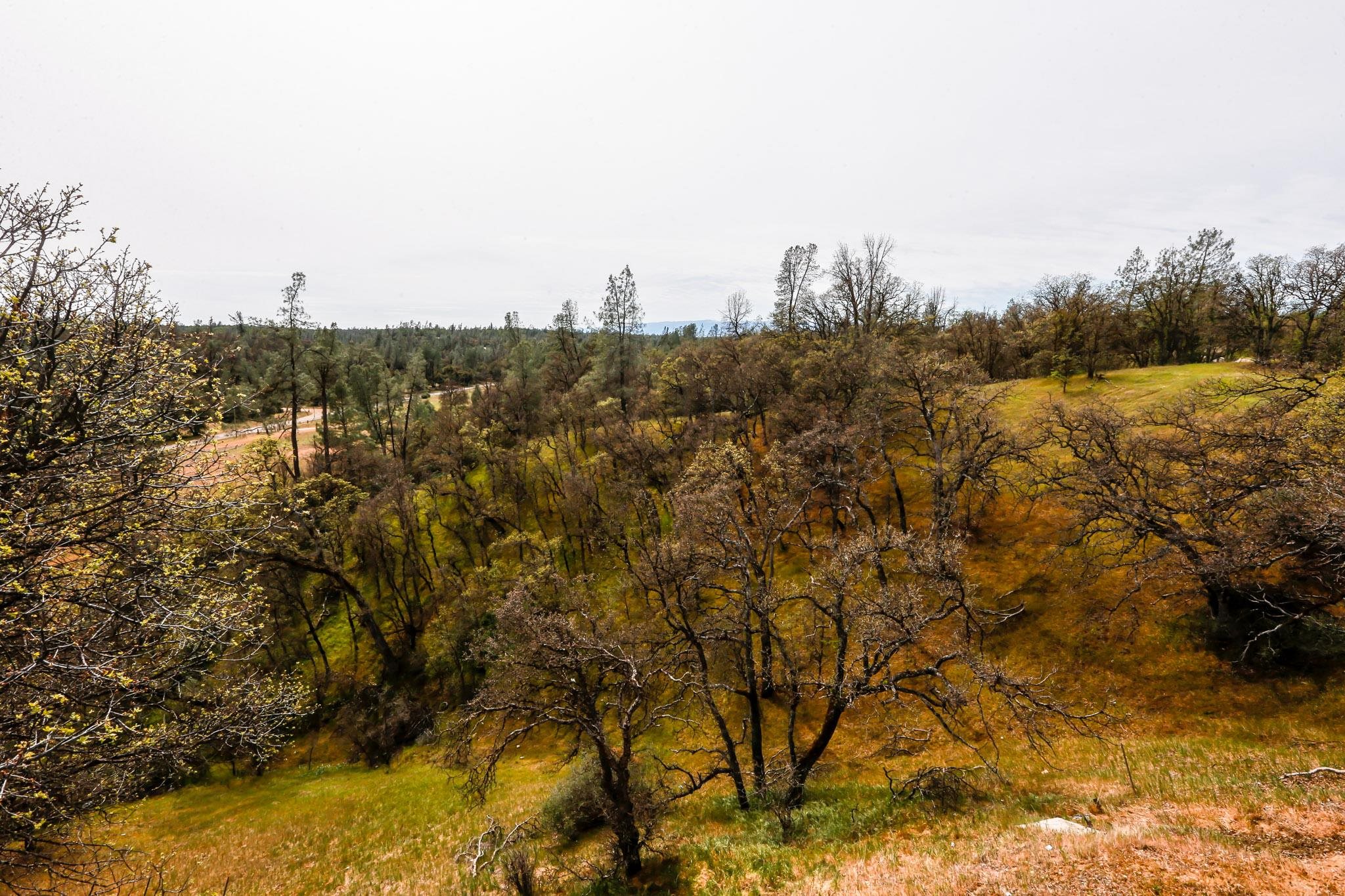 17503 Garrison Road Cottonwood, CA 96022 - Photo 35 of 75