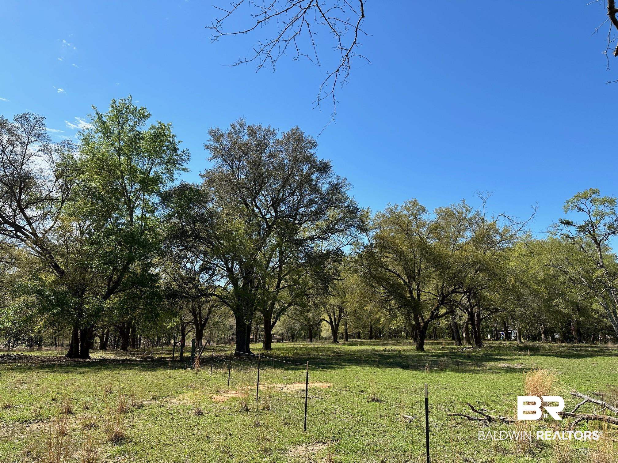 0 Rada Road Silverhill, AL 36576 - Photo 6 of 8 Rear Areage