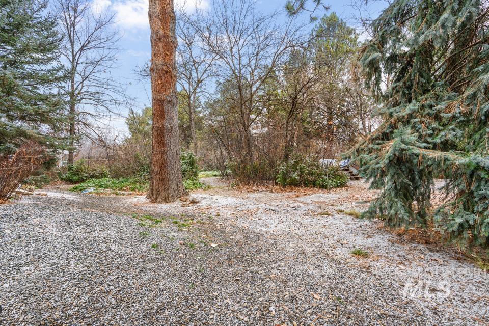 9518 Scorpio Street Boise, ID 83709 - Photo 39 of 46 View of yard