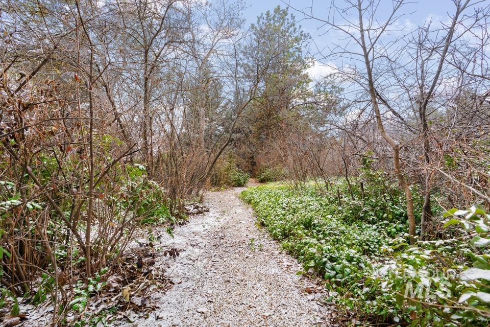 9518 Scorpio Street Boise, ID 83709 - Photo 40 of 46 View of yard