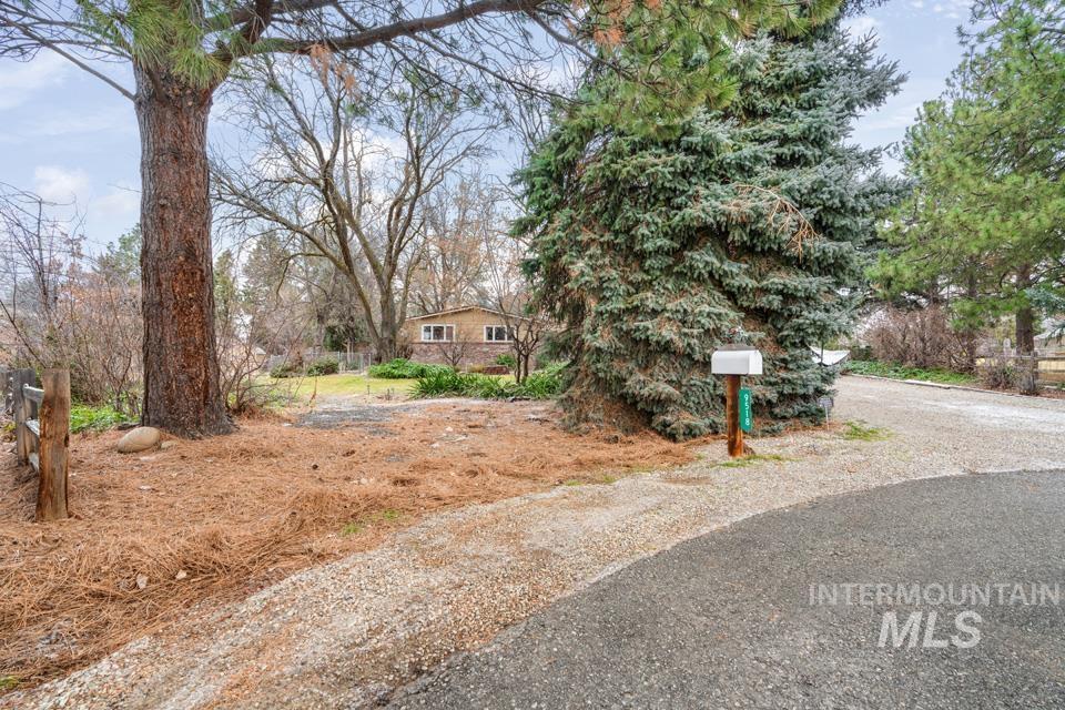 9518 Scorpio Street Boise, ID 83709 - Photo 45 of 46 View of yard