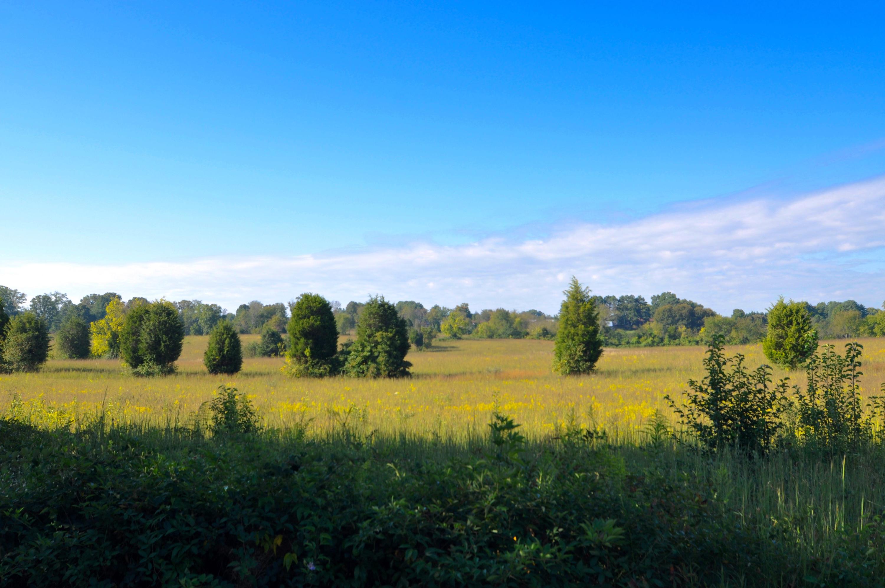 1827 Grey Ridge Road Maryville, TN 37801 - Photo 10 of 40 DSC_0832