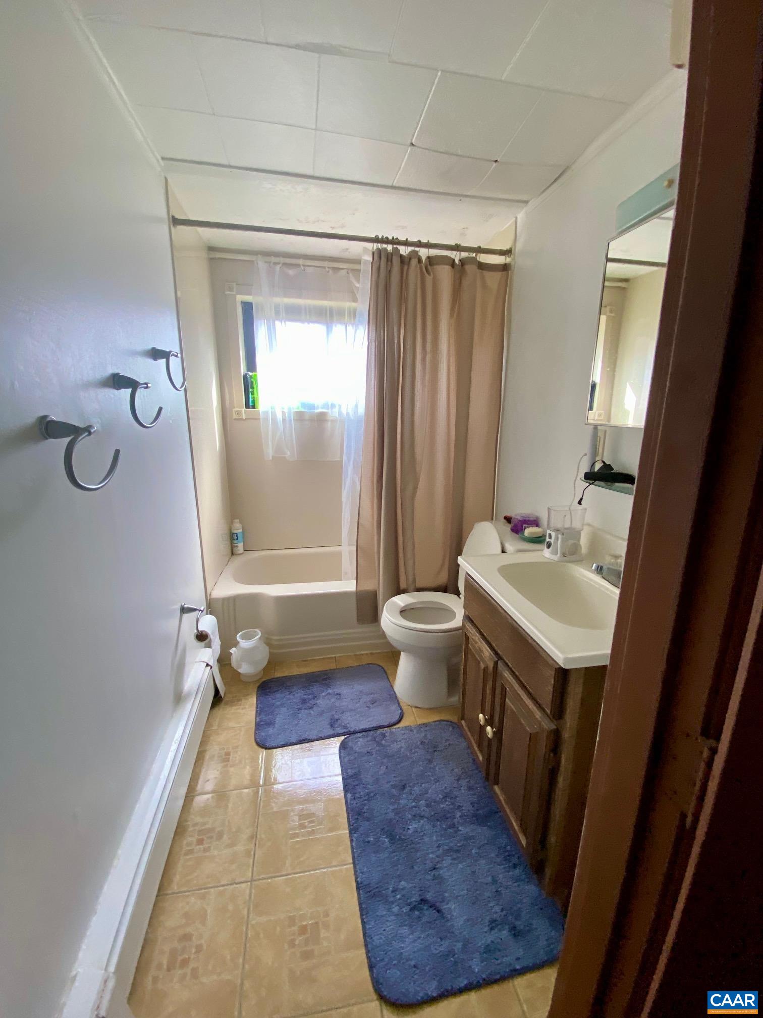 115 Apple Tree Road Charlottesville, VA 22903 - Photo 14 of 17 a bathroom with a sink a toilet a mirror and shower