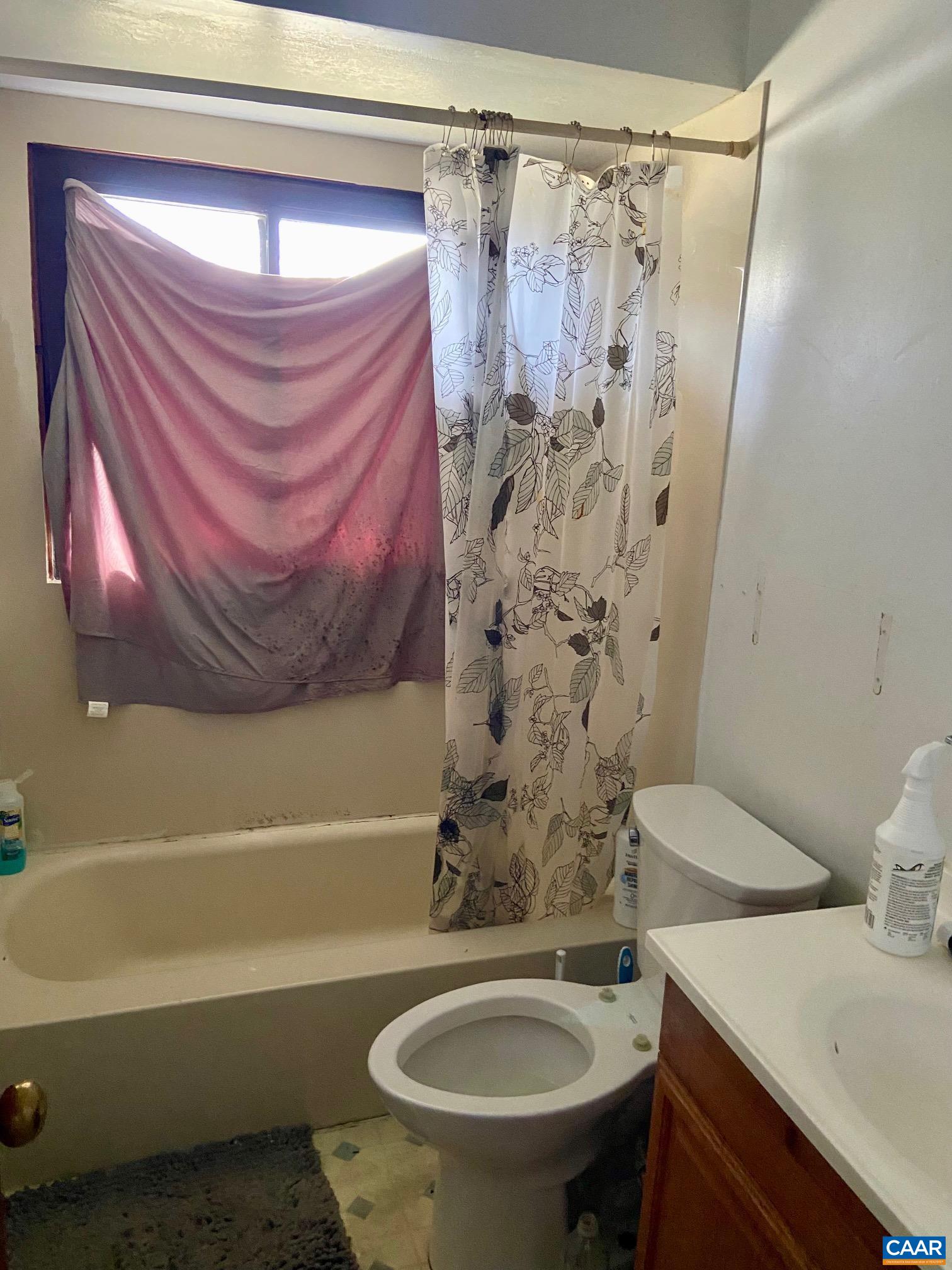 115 Apple Tree Road Charlottesville, VA 22903 - Photo 5 of 17 a bathroom with a sink and a toilet