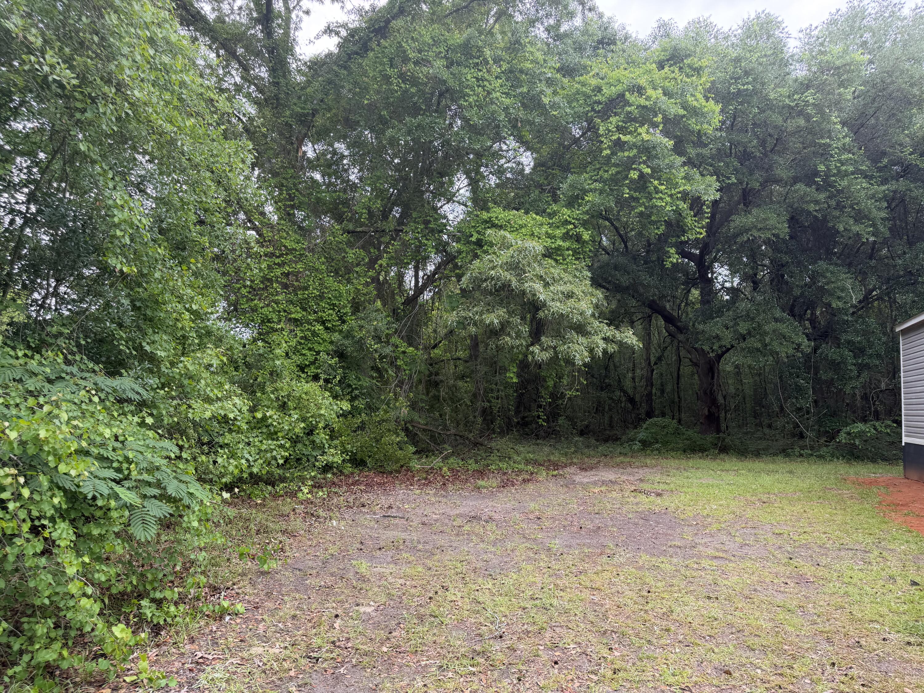 6541 June Burn Road Manning, SC 29102 - Photo 4 of 19