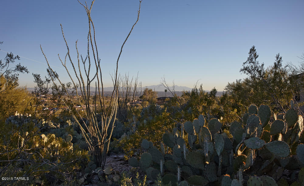 4949 North Craycroft Road Tucson, AZ 85718 - Photo 45 of 45 Gallery Image 45