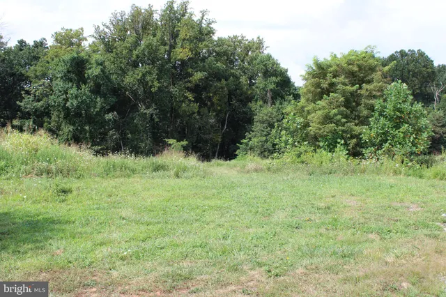 a view of a lush green space