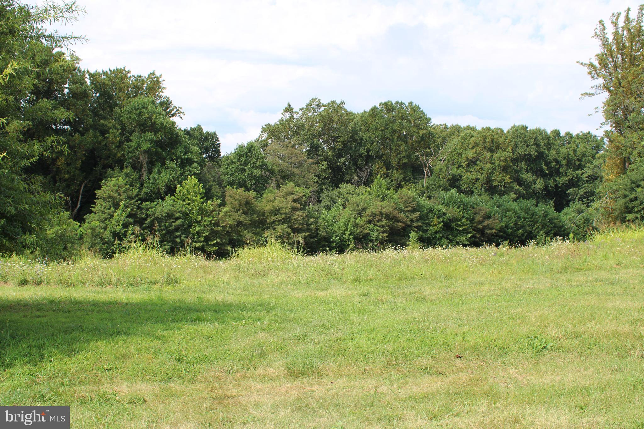 Blarney Lane Conowingo, MD 21918 - Photo 2 of 3 a view of a yard with a tree