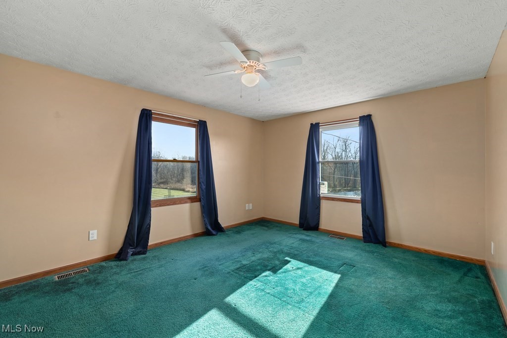 12367 Stratton Road West Salem, OH 44287 - Photo 12 of 26 Empty room with dark colored carpet, a textured ceiling, plenty of natural light, and ceiling fan
