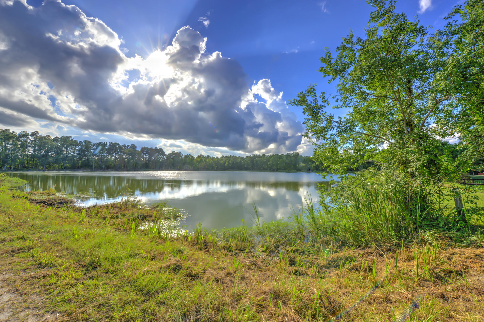 1806 State Rd S-8-684 Moncks Corner, SC 29461 - Photo 54 of 56 _DSC1411_2_3_4_5