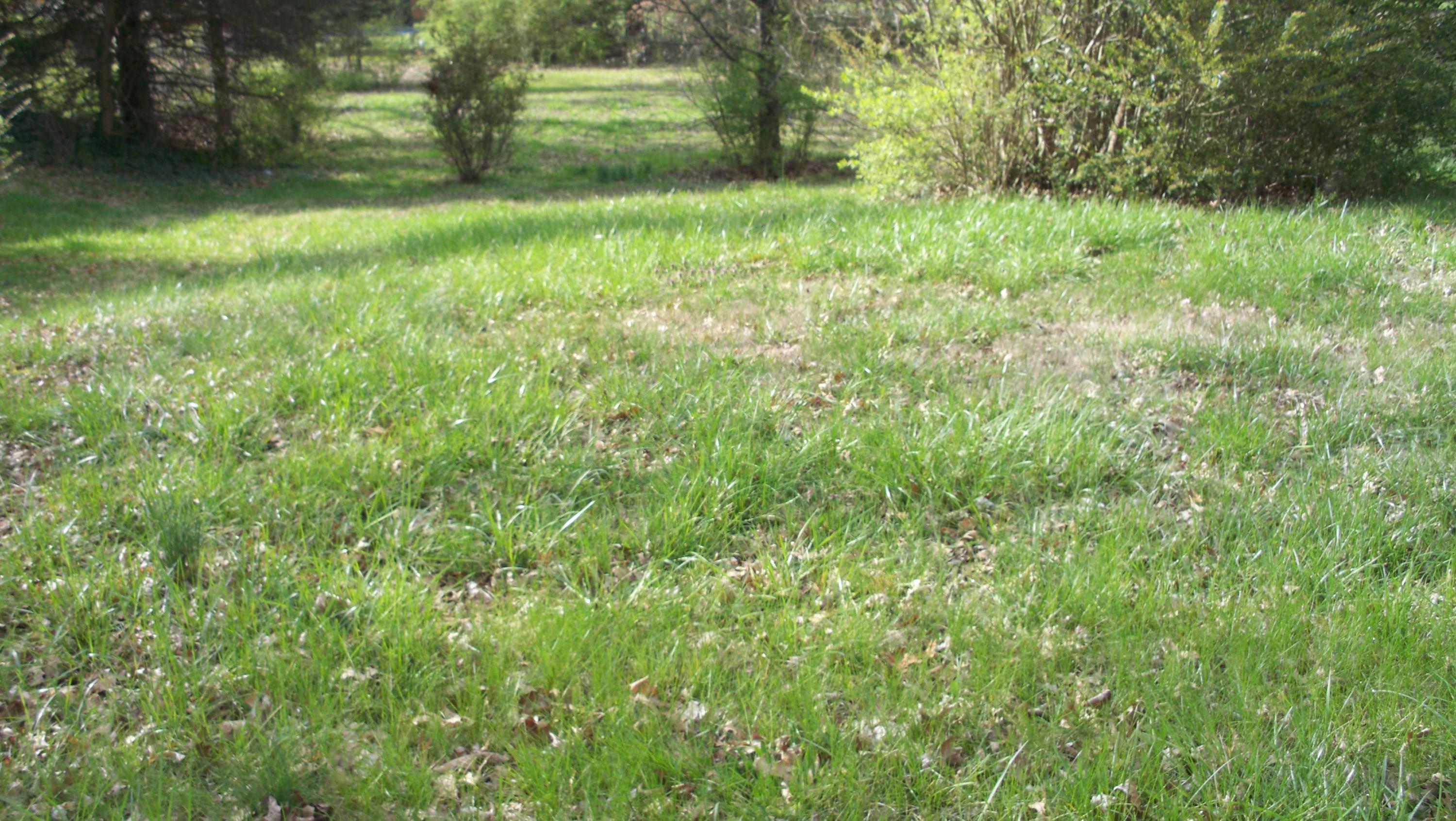 Merritt Road Maryville, TN 37804 - Photo 1 of 5 100_4405