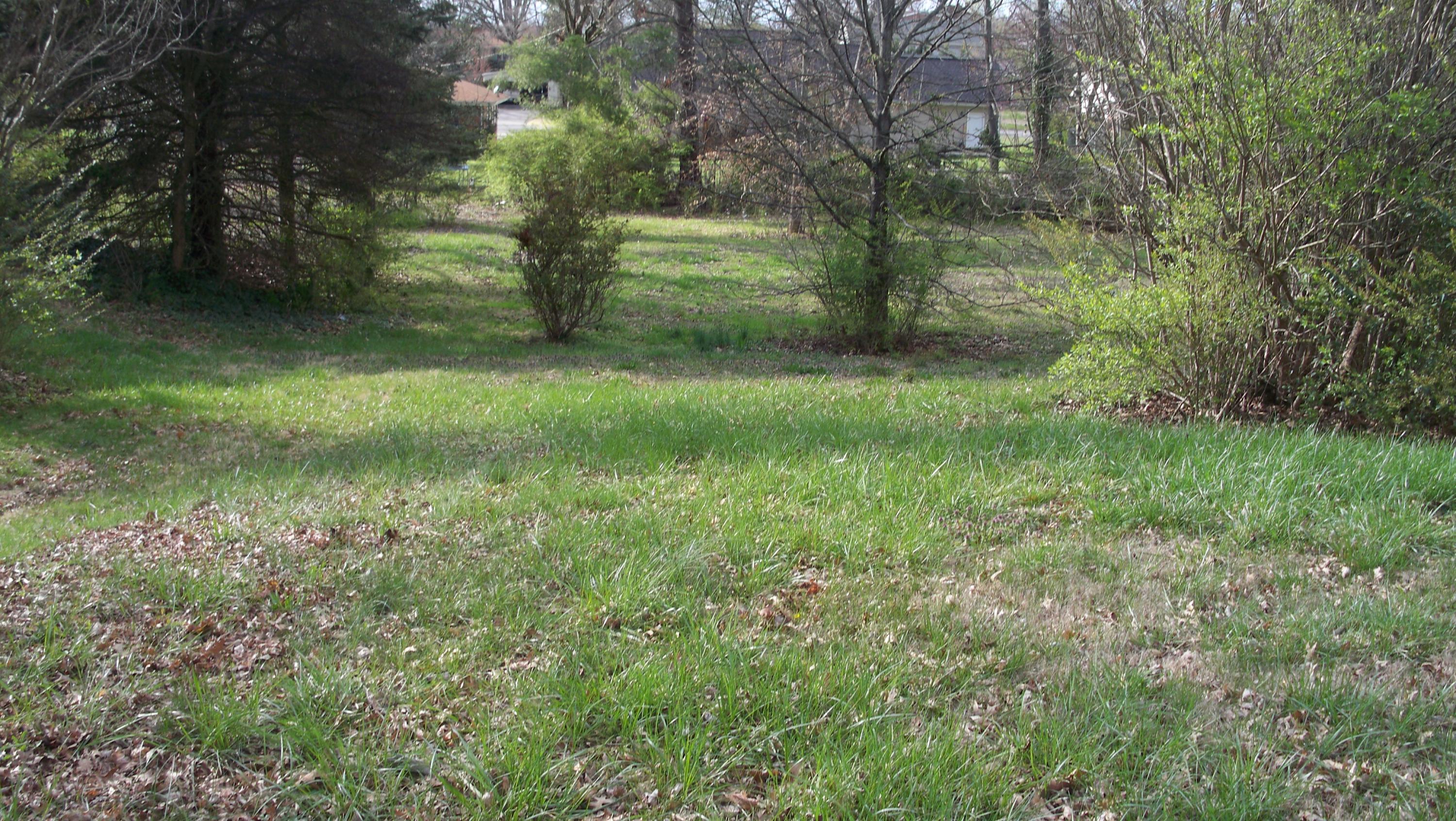 Merritt Road Maryville, TN 37804 - Photo 3 of 5 100_4408