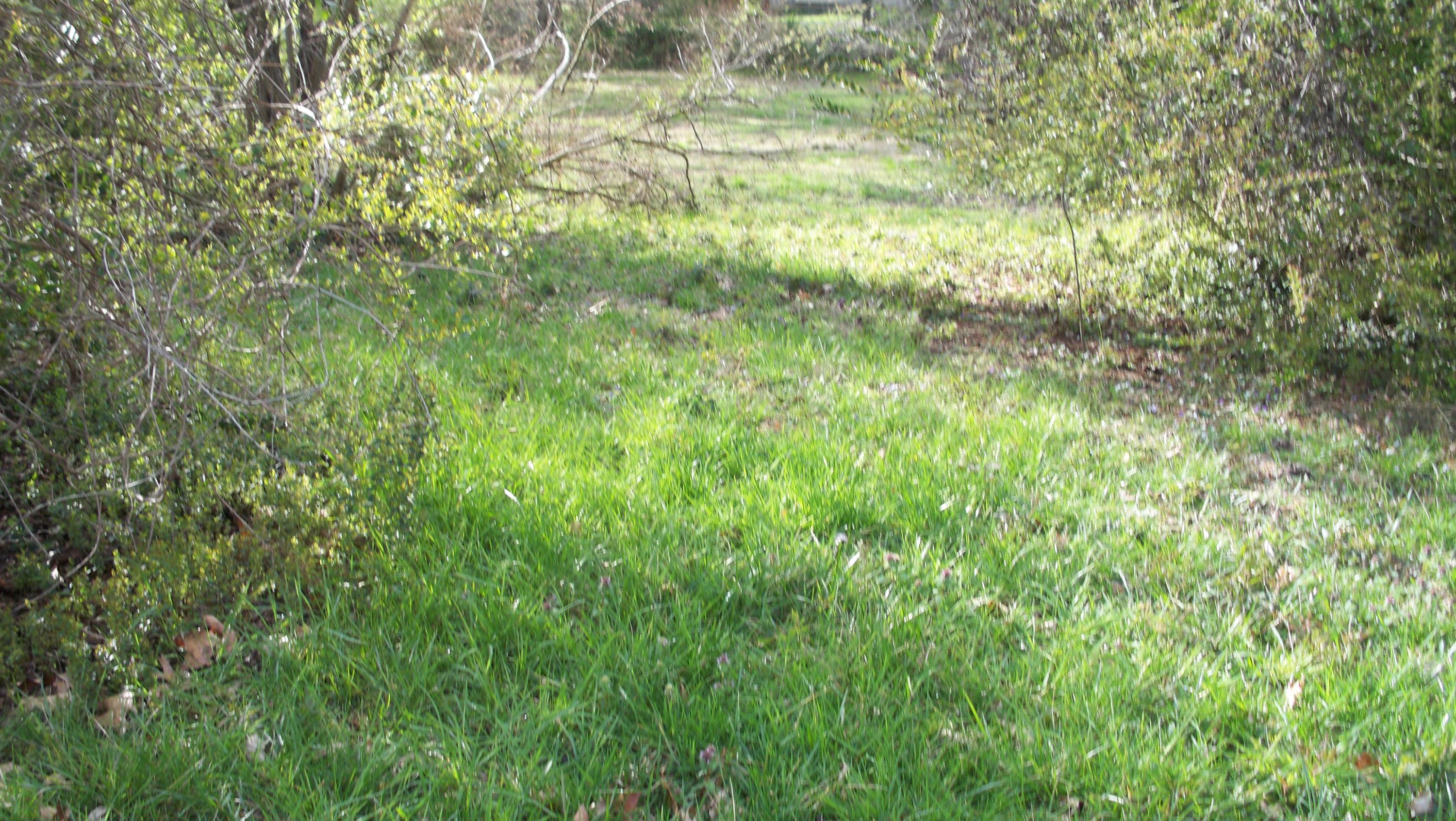 Merritt Road Maryville, TN 37804 - Photo 4 of 5 100_4409