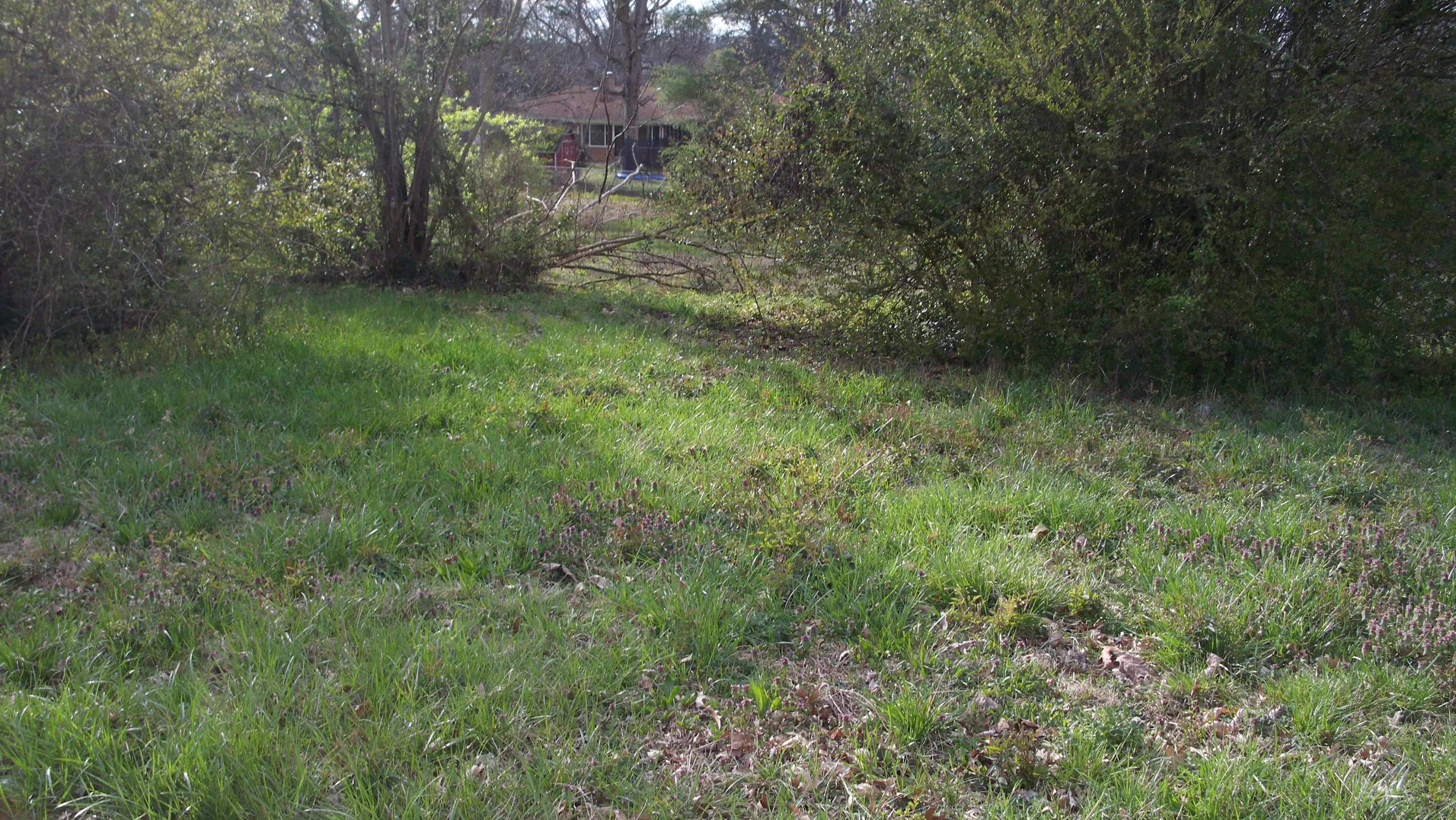 Merritt Road Maryville, TN 37804 - Photo 5 of 5 100_4410