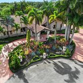 a view of a garden with potted plants