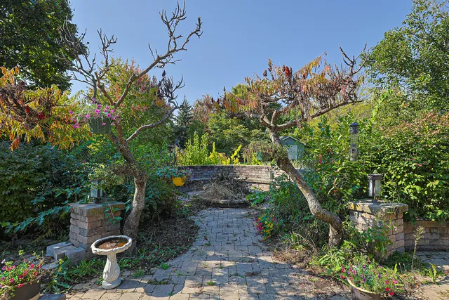 a view of a backyard with plants and a patio