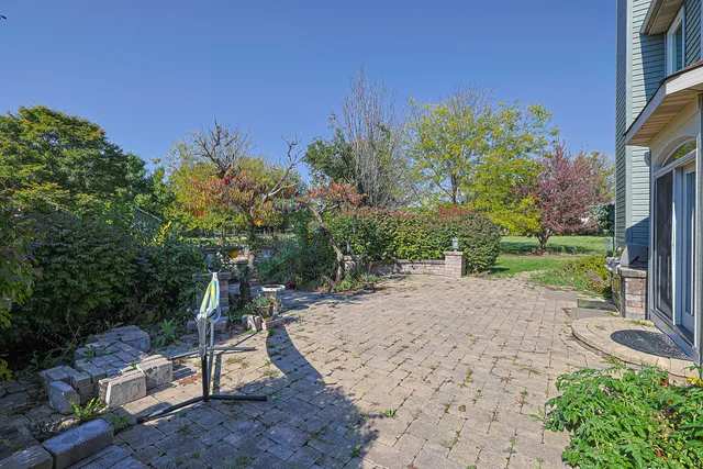 a view of outdoor space with trees all around