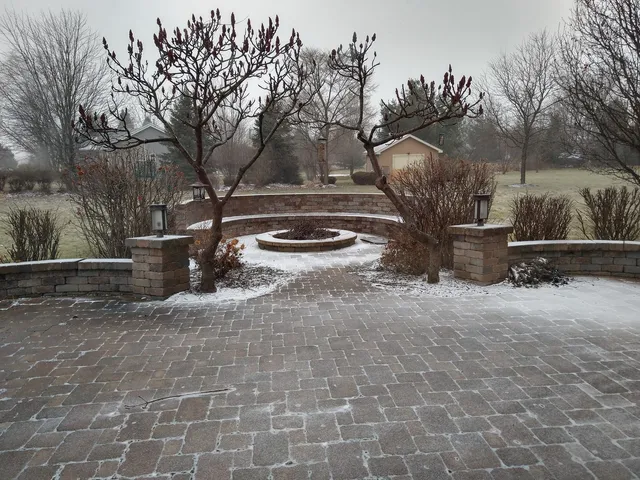 a view of a backyard with plants