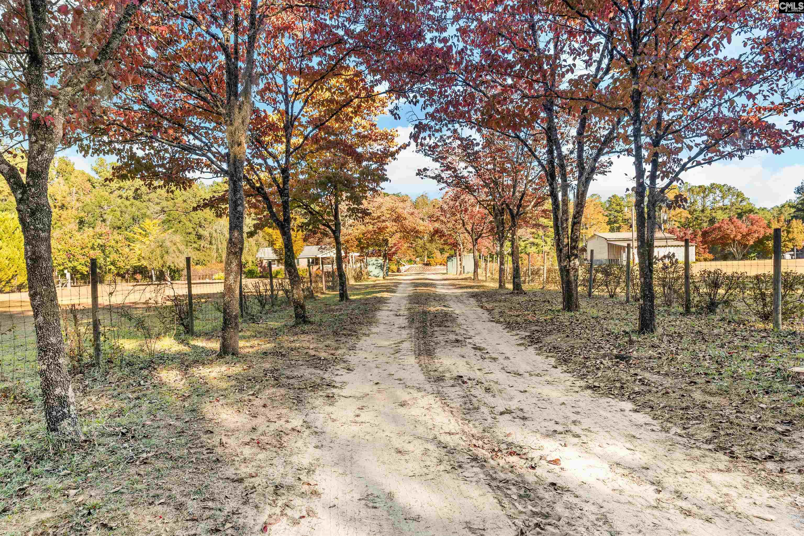 646 Briar Creek Road Branchville, SC 29432 - Photo 10 of 50