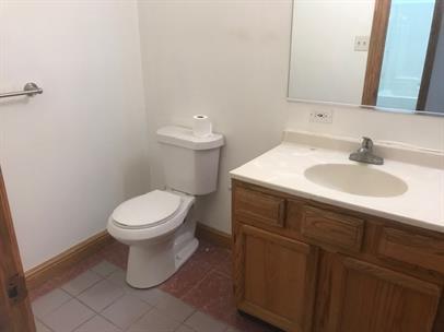 4219 South Union Avenue, Unit 2 Chicago, IL 60609 - Photo 21 of 25 a bathroom with a sink and a toilet