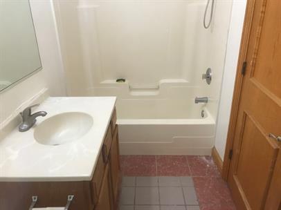 4219 South Union Avenue, Unit 2 Chicago, IL 60609 - Photo 22 of 25 a bathroom with a sink and a tub
