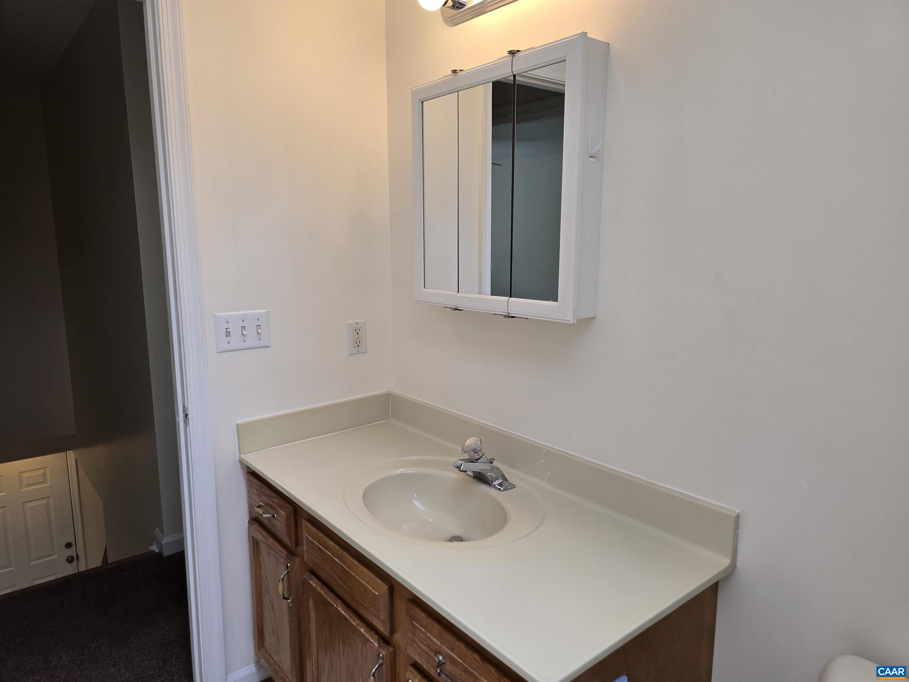 259 Spring Oaks Lane Ruckersville, VA 22968 - Photo 27 of 30 a bathroom with a sink and a mirror