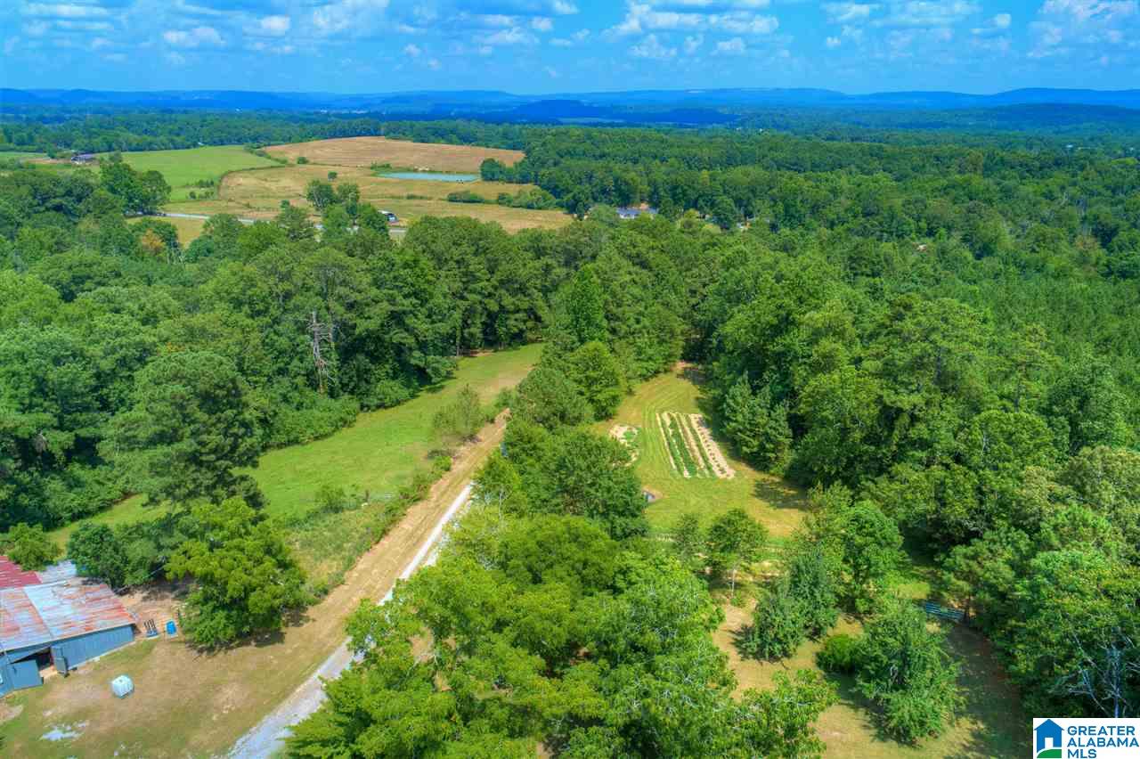 1181 Joy Road Hayden, AL 35079 - Photo 37 of 44