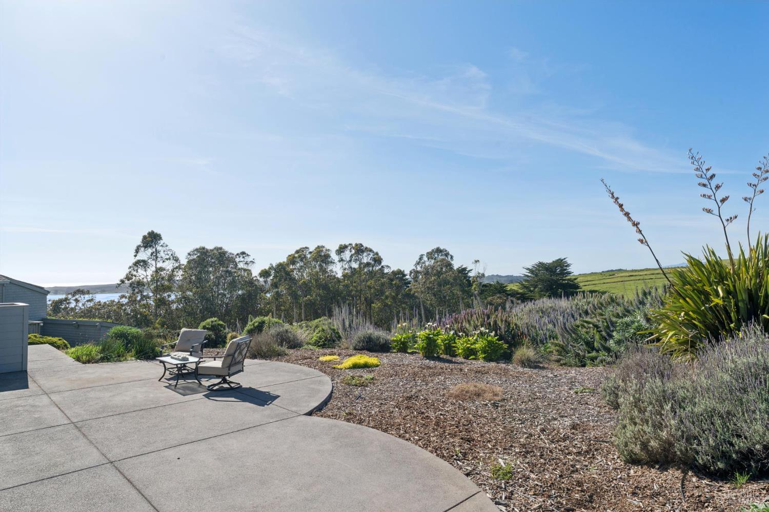 88 Cypress Loop Bodega Bay, CA 94923 - Photo 63 of 88 Spot the wildlife on the vast hillside while relaxing from your back patio surrounded by low-maintenance landscaping. A private setting enhanced by the natural surroundings of Brooks Gulch. If you look to the left you can see the ocean.