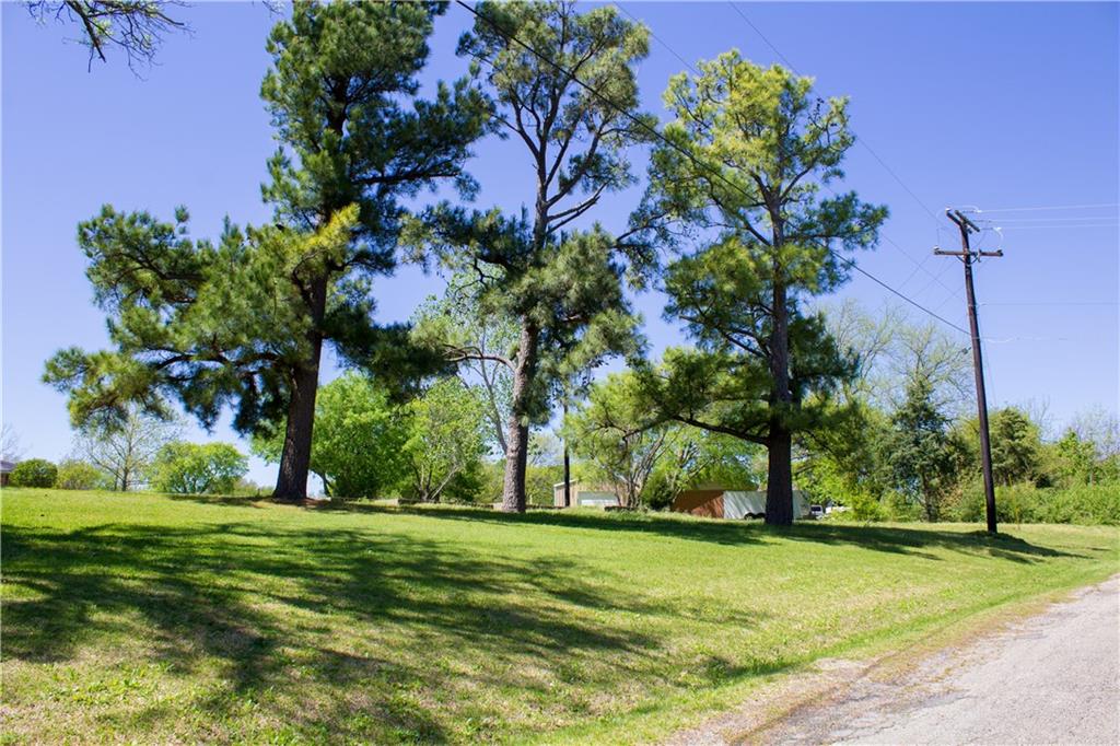 a view of a park with a tree