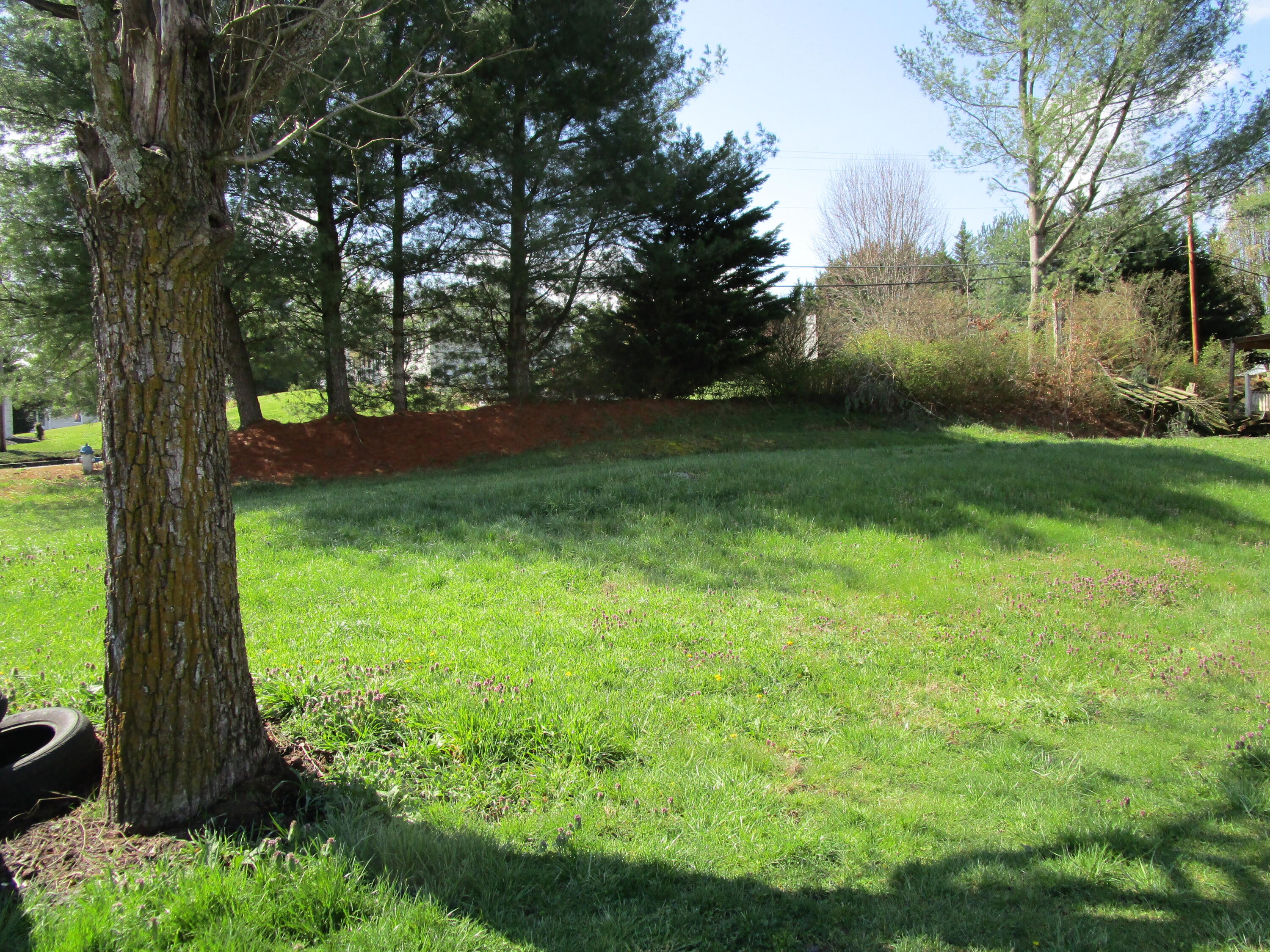 397 Hugh Cox Road Jonesborough, TN 37659 - Photo 5 of 15 IMG_4444