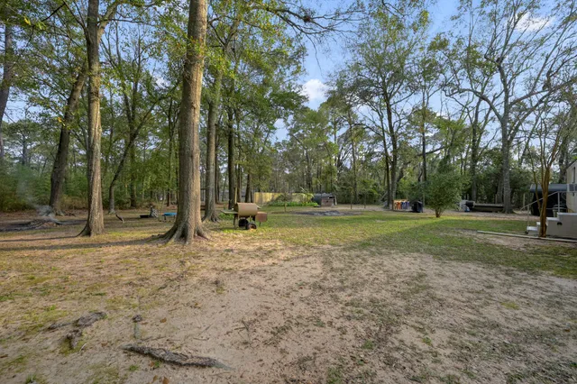 a view of a park with tree s