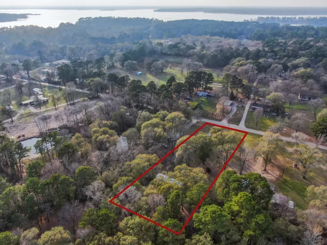 an aerial view of residential house and green space