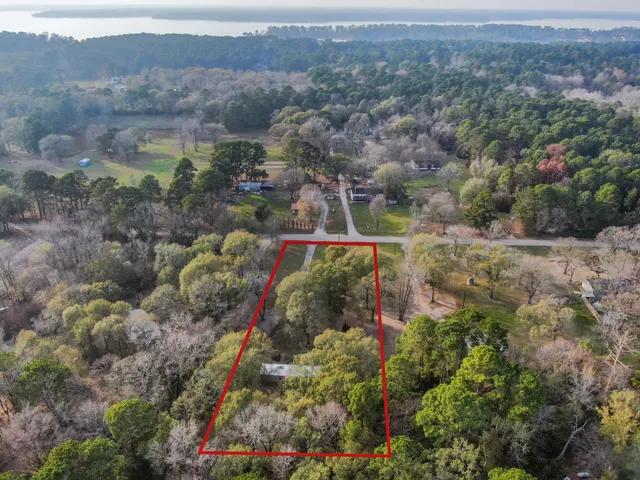 an aerial view of residential house with green space