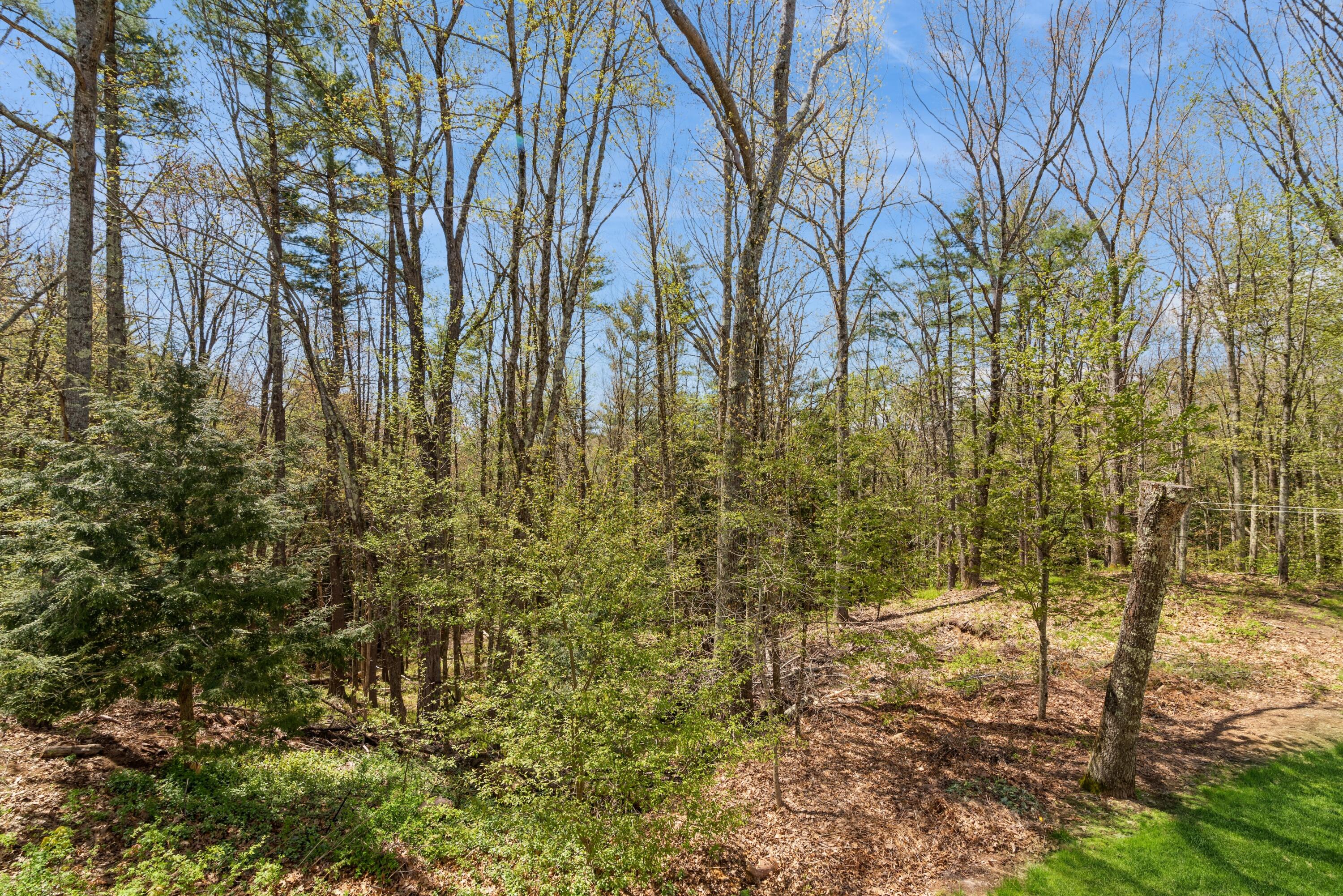 65 Waterhouse Road Dayton, ME 04005 - Photo 36 of 42 Backyard View from Deck
