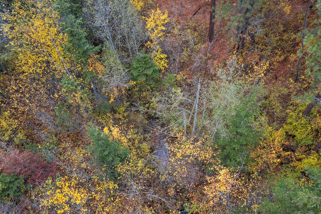 23407 East Henry Road Liberty Lake, WA 99019 - Photo 47 of 50 Gallery Image 47