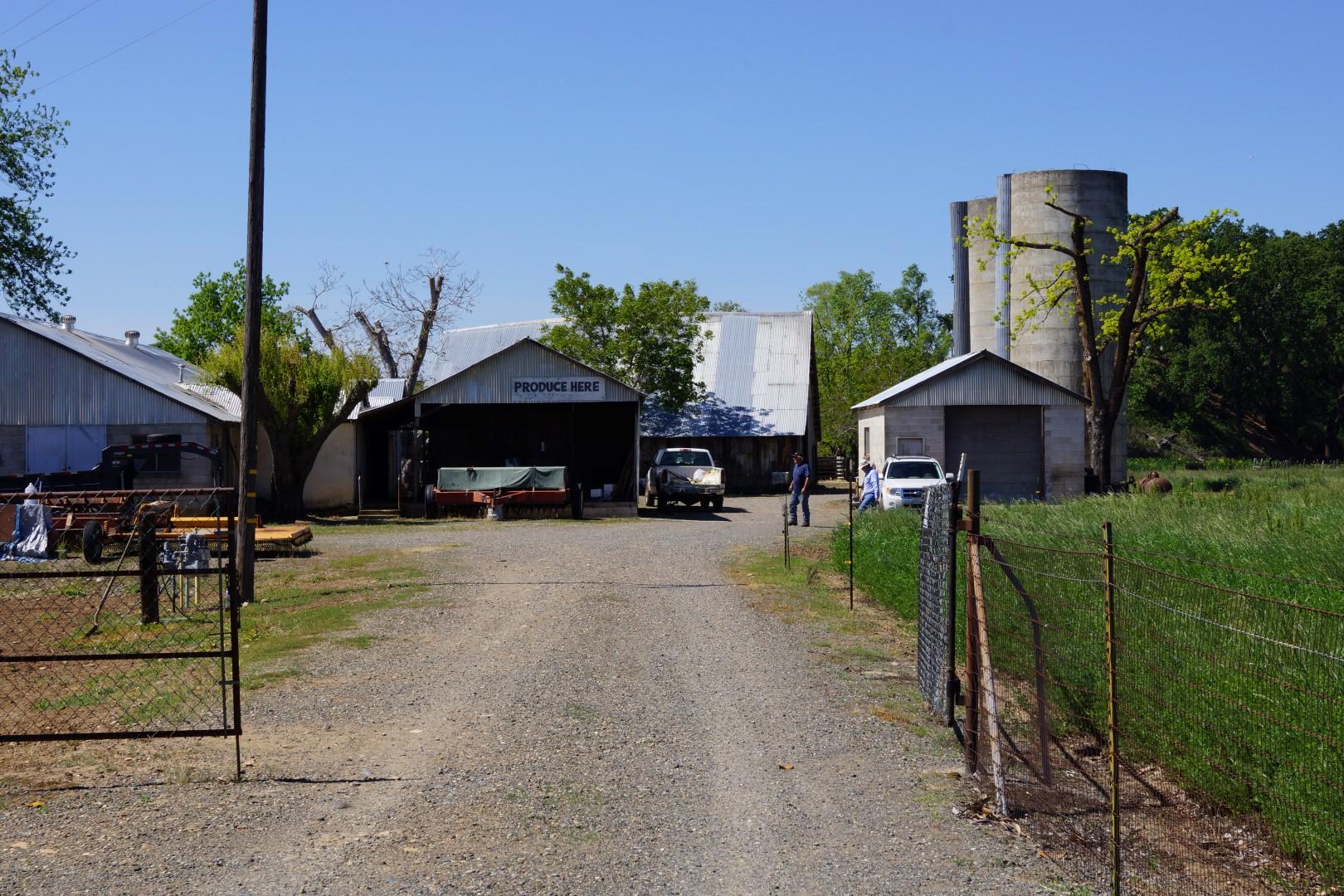 5440 Balls Ferry Road Anderson, CA 96007 - Photo 64 of 90 Ranch entrance - Eastside (1)