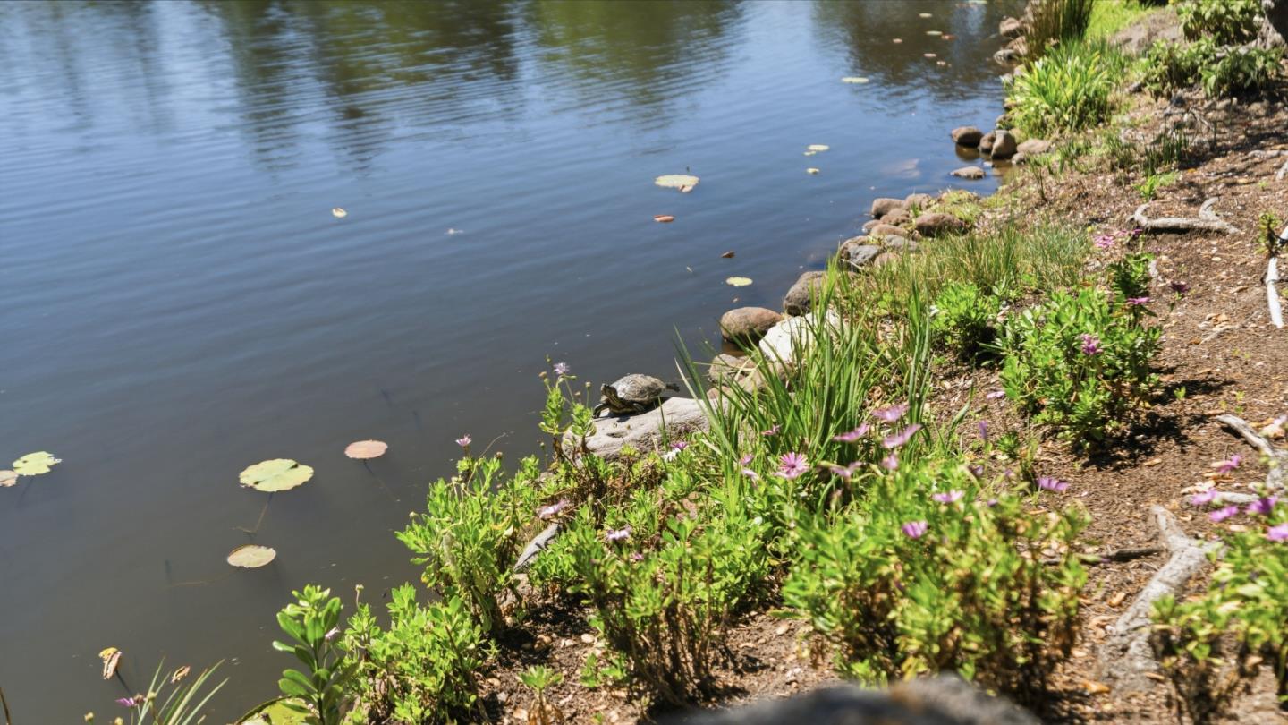 552 Bean Creek Road, Unit 30 Scotts Valley, CA 95066 - Photo 51 of 61