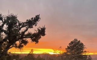 552 Bean Creek Road, Unit 30 Scotts Valley, CA 95066 - Photo 58 of 61