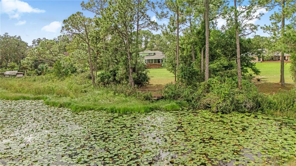 2060 Doyle Road Deltona, FL 32738 - Photo 43 of 43 a view of a garden