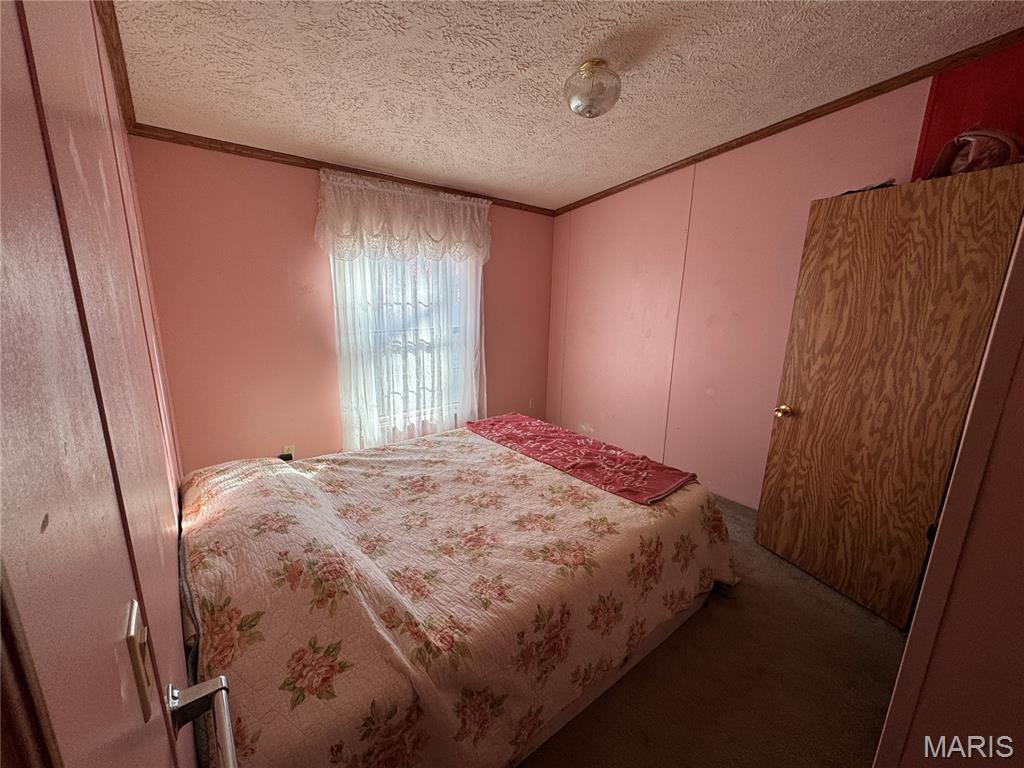 68 Eagle Ridge Lane Winfield, MO 63389 - Photo 11 of 15