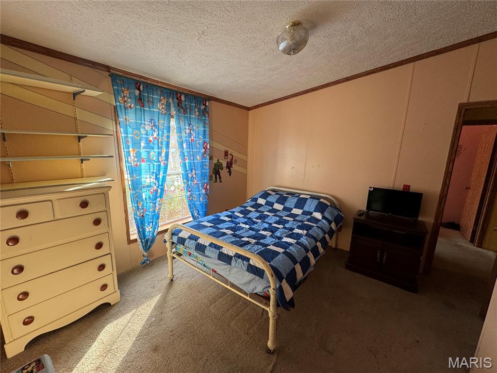 68 Eagle Ridge Lane Winfield, MO 63389 - Photo 9 of 15