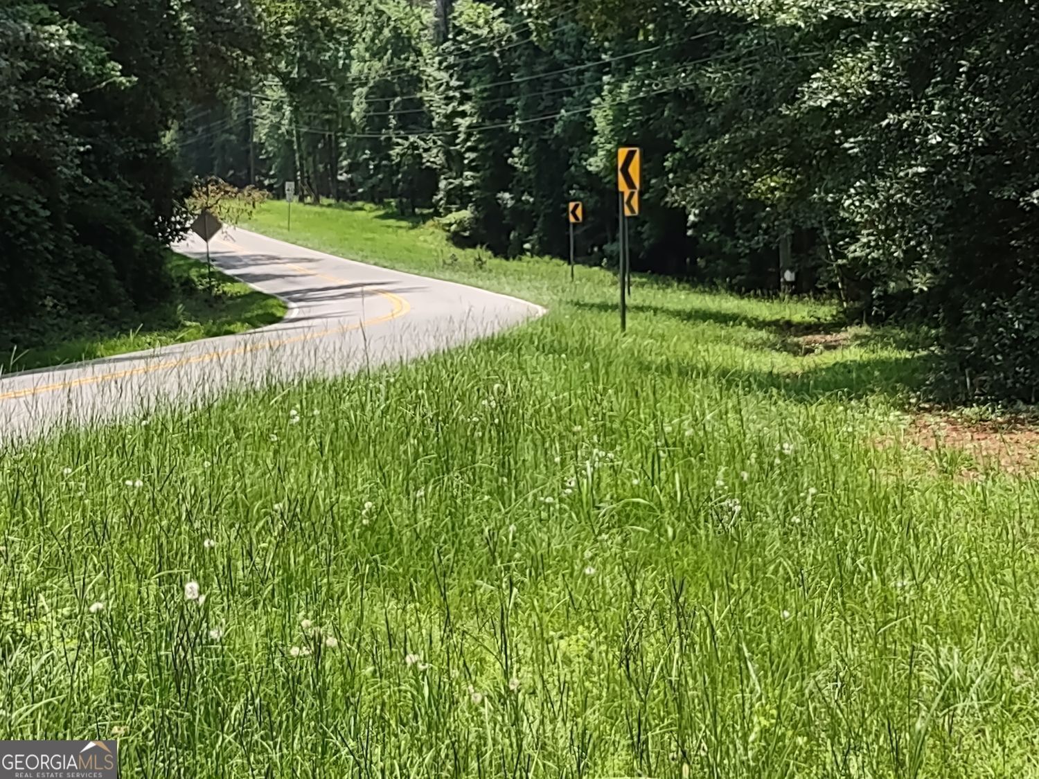 0 Panhandle Road, Unit LOT 3 Hampton, GA 30228 - Photo 14 of 40