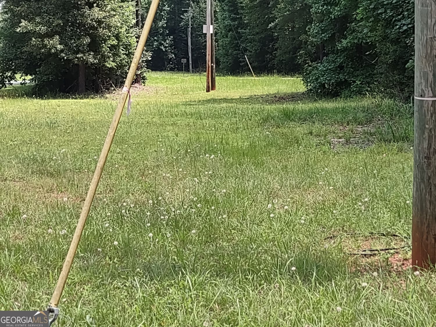 0 Panhandle Road, Unit LOT 3 Hampton, GA 30228 - Photo 19 of 40 a view of outdoor space with a garden and trees