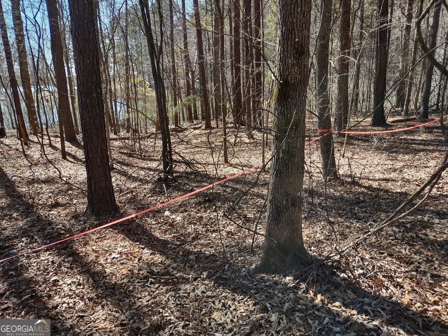 0 Panhandle Road, Unit LOT 3 Hampton, GA 30228 - Photo 21 of 40