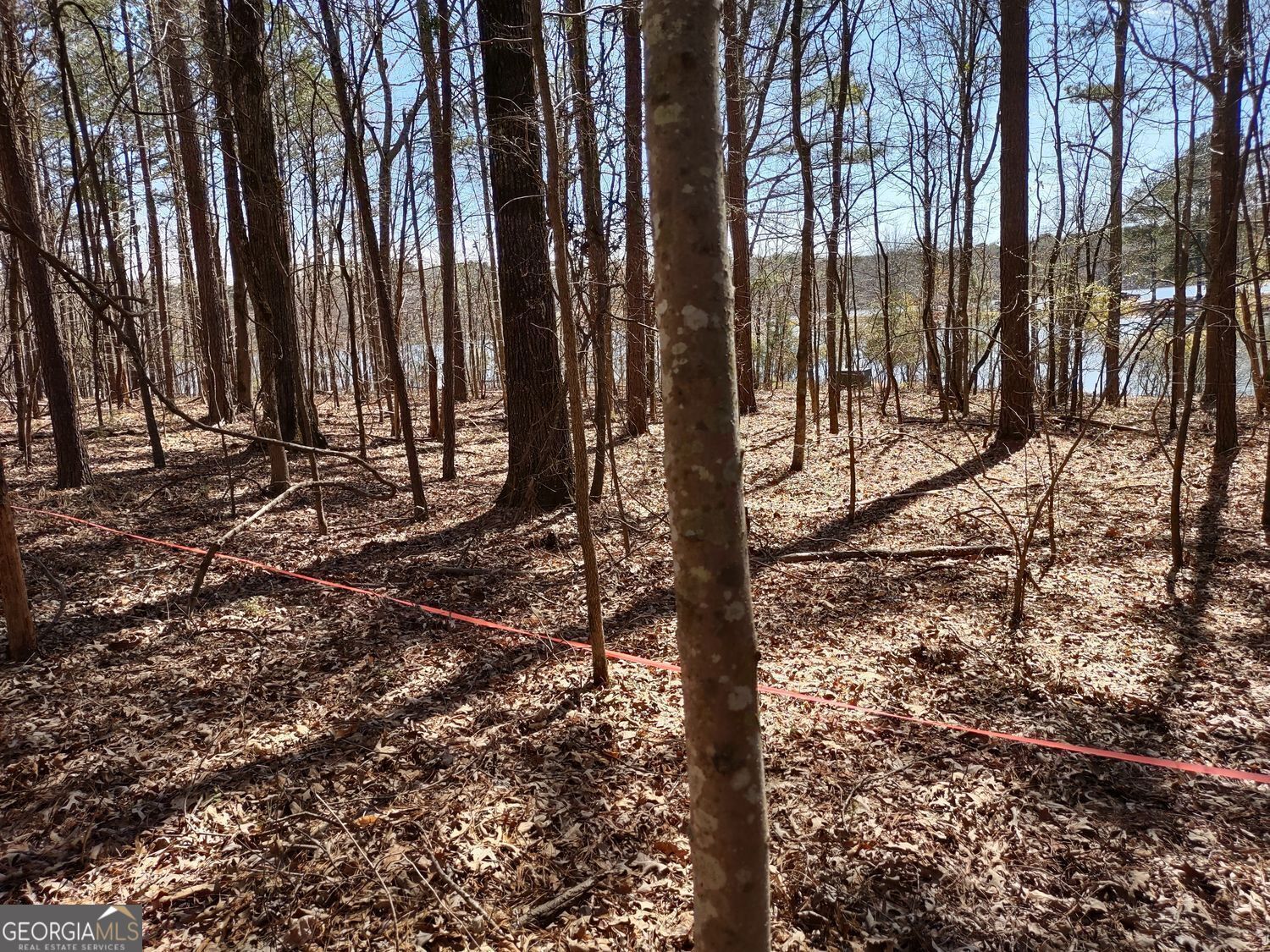 0 Panhandle Road, Unit LOT 3 Hampton, GA 30228 - Photo 22 of 40 a large tree with wooden fence