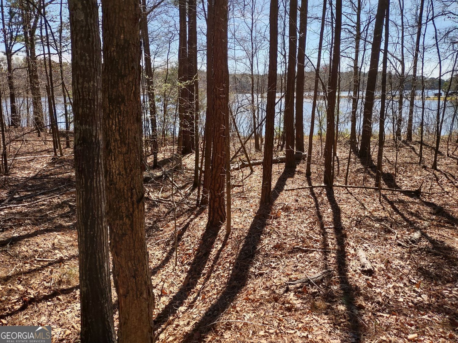 0 Panhandle Road, Unit LOT 3 Hampton, GA 30228 - Photo 23 of 40