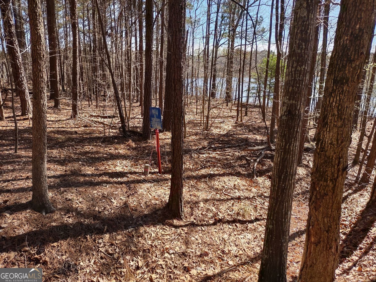 0 Panhandle Road, Unit LOT 3 Hampton, GA 30228 - Photo 24 of 40