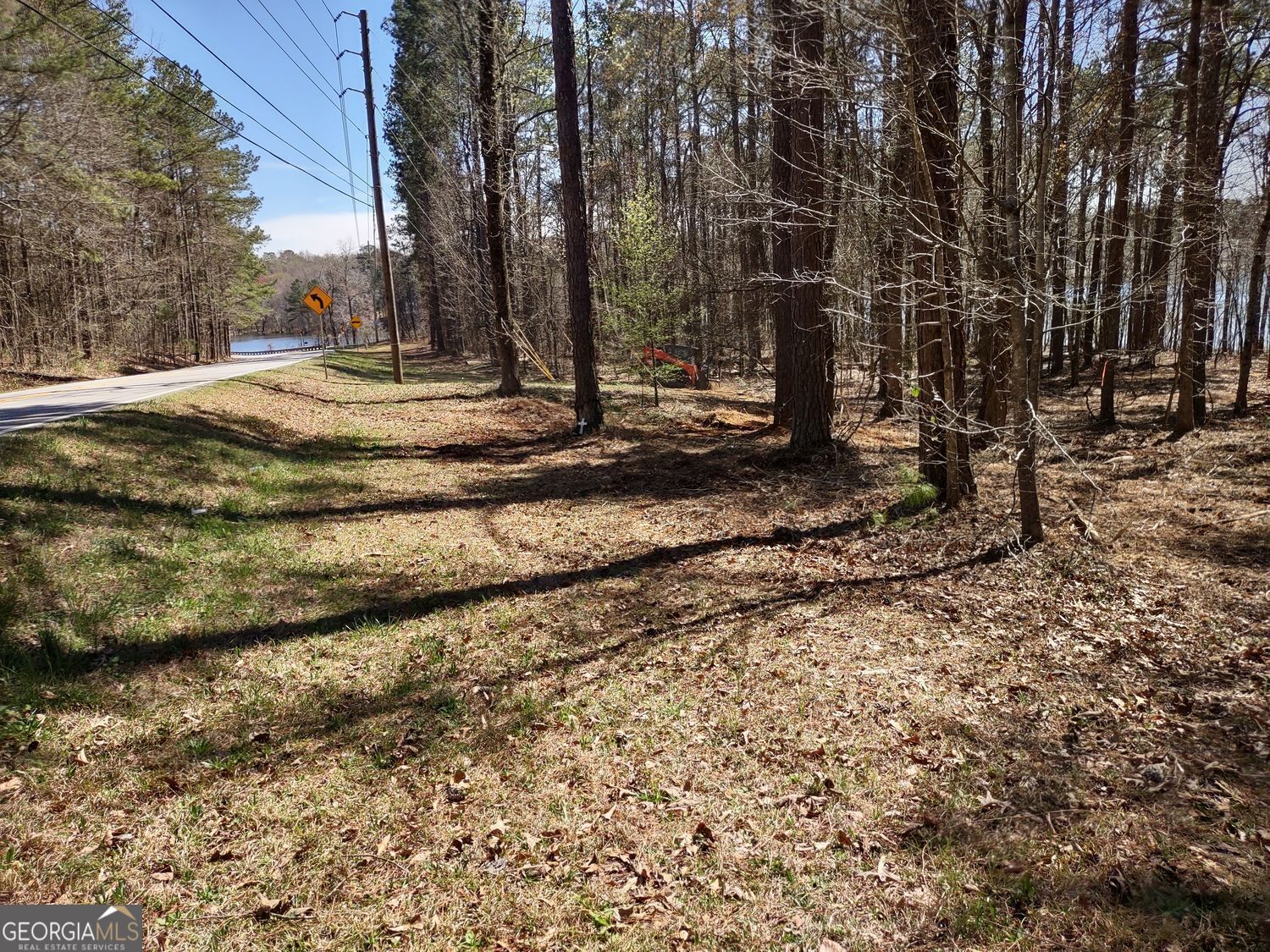 0 Panhandle Road, Unit LOT 3 Hampton, GA 30228 - Photo 27 of 40