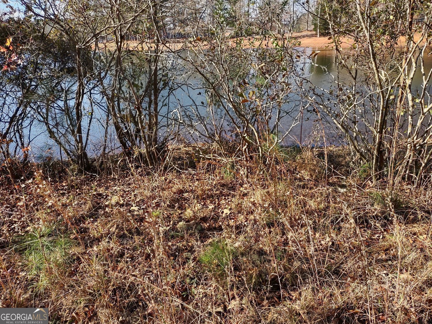 0 Panhandle Road, Unit LOT 3 Hampton, GA 30228 - Photo 32 of 40 a view of a yard with a tree
